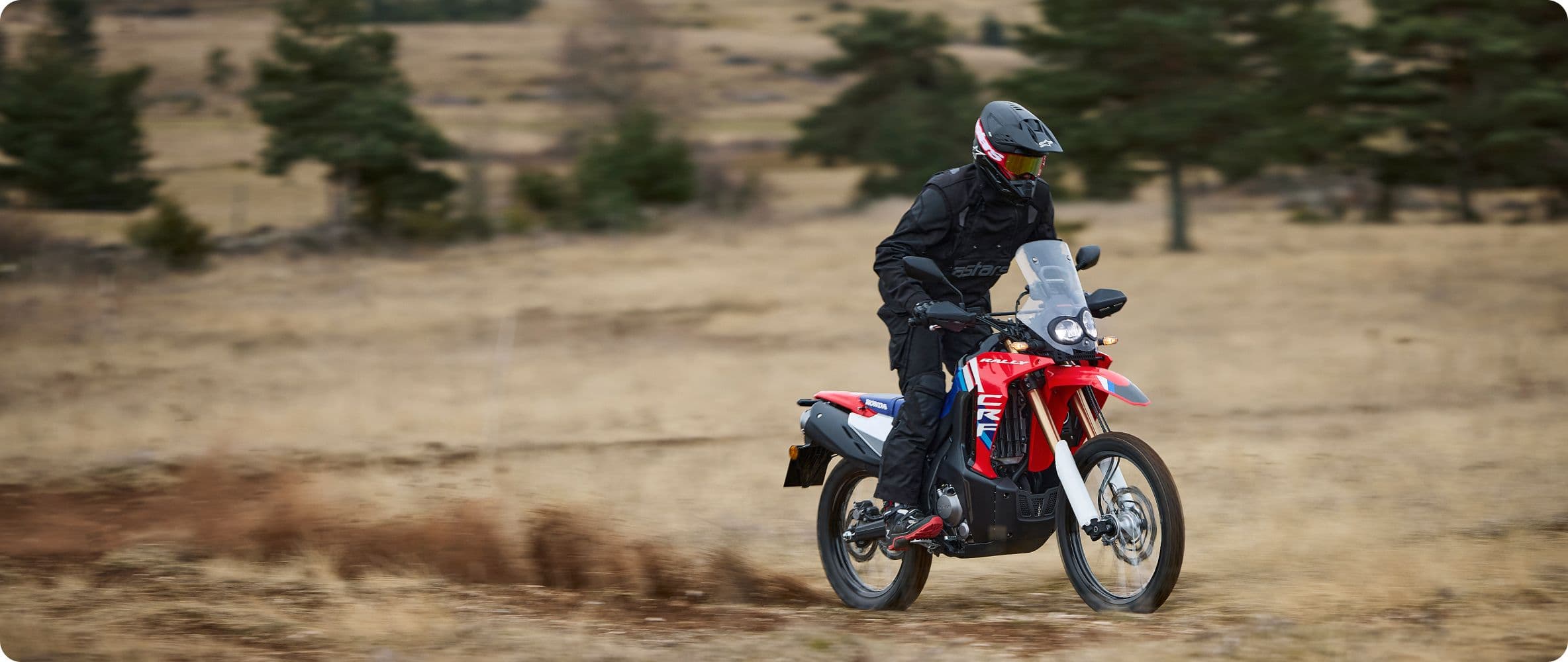 Honda CRF250 Rally görseli